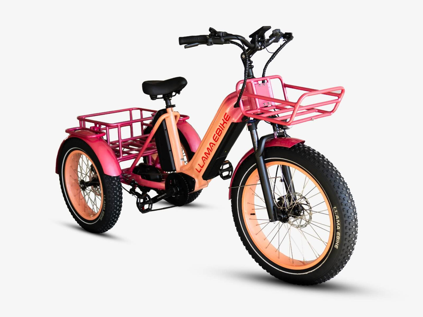 LLAMA Trike CT10 Fat Tire Electric Cargo Trike