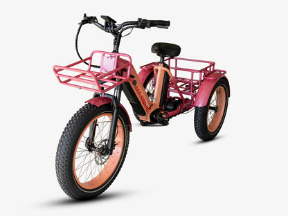 LLAMA Trike CT10 Fat Tire Electric Cargo Trike