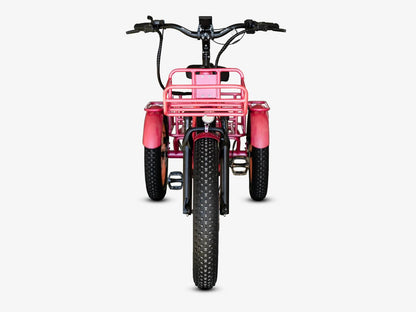 LLAMA Trike CT10 Fat Tire Electric Cargo Trike