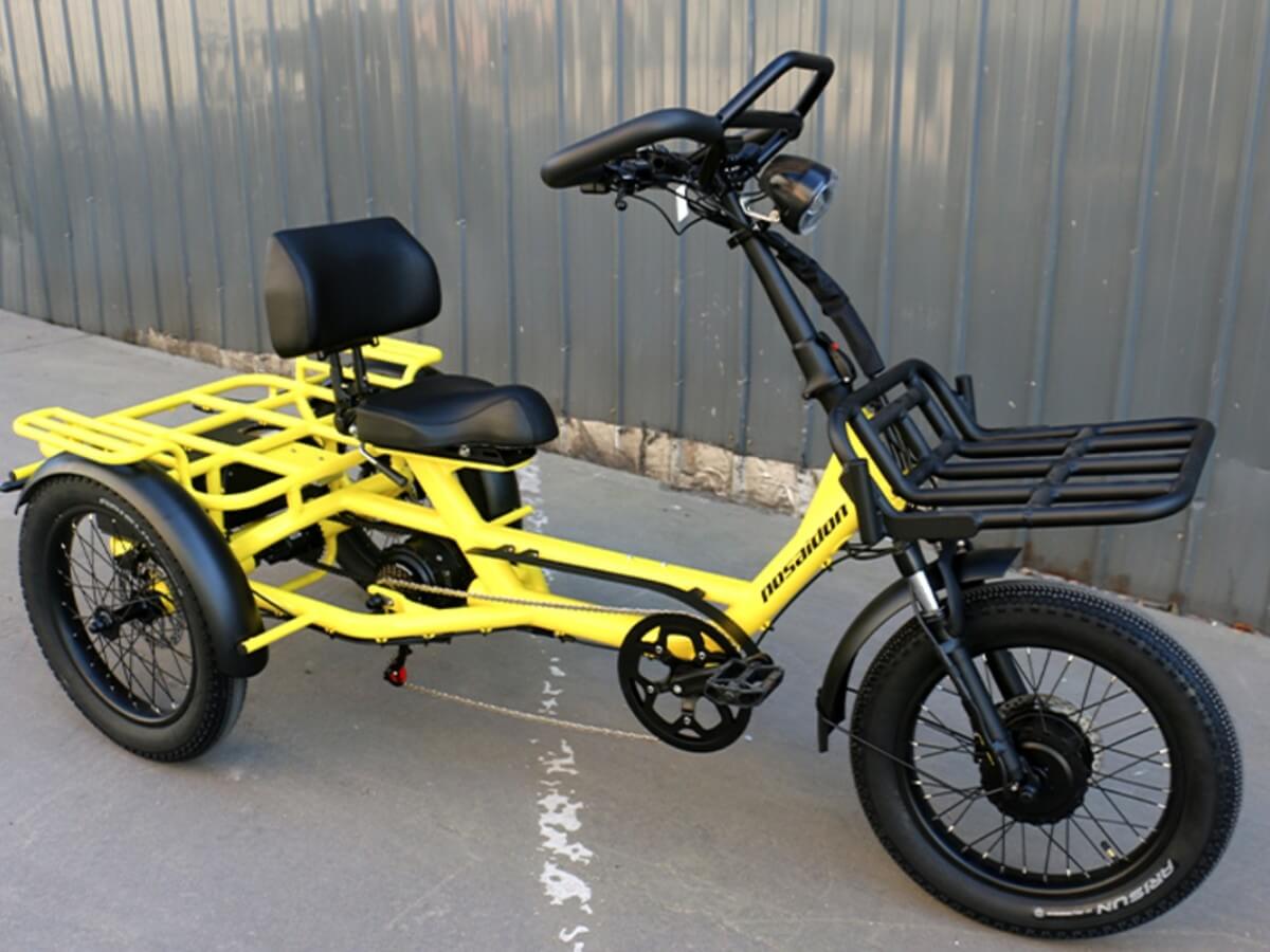 LLAMA Trike ST10 Step-Through Fat Tire Electric Trike